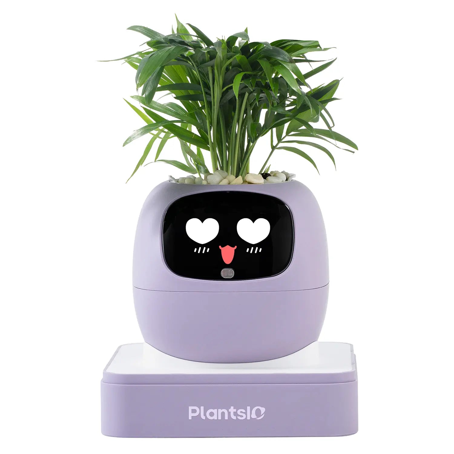 Transform Your Space with the IVY Smart Indoor Plant Pot - An Interactive AI Flowerpot for Plant Lovers!