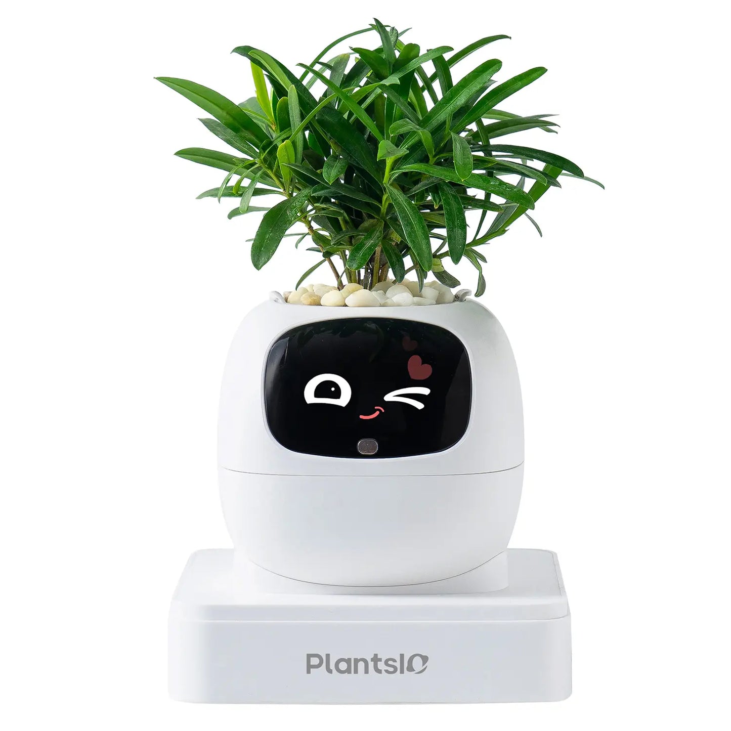 Transform Your Space with the IVY Smart Indoor Plant Pot - An Interactive AI Flowerpot for Plant Lovers!
