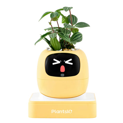 Transform Your Space with the IVY Smart Indoor Plant Pot - An Interactive AI Flowerpot for Plant Lovers!