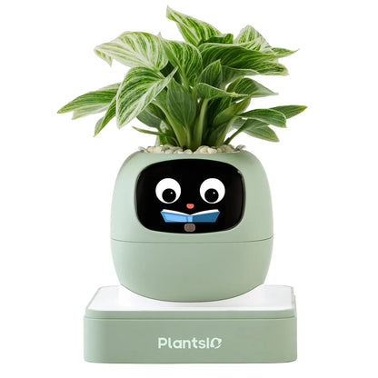 Transform Your Space with the IVY Smart Indoor Plant Pot - An Interactive AI Flowerpot for Plant Lovers!